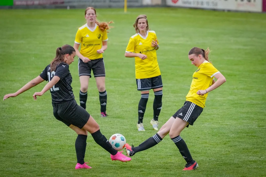 445667605 959361419524917 366094742320693552 n